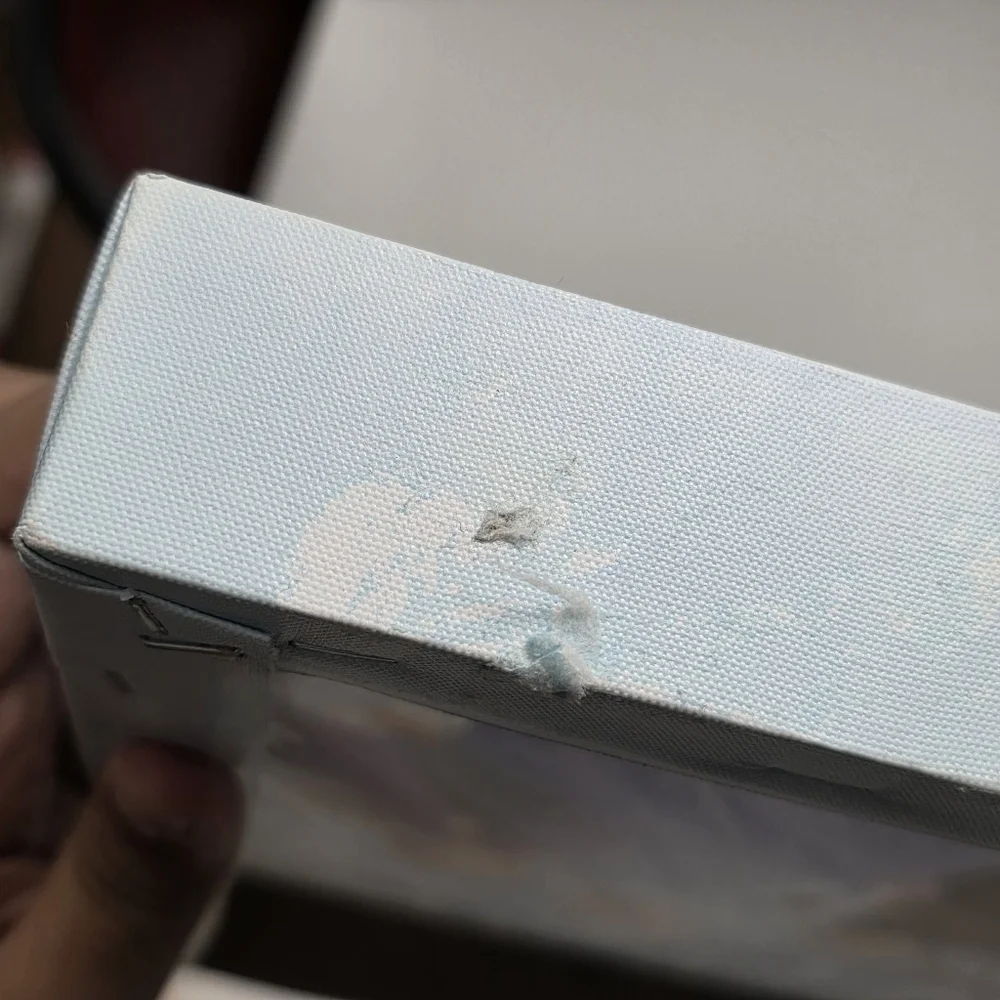 Disney frozen painting
